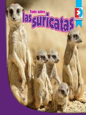 cover image of Todo sobre las suricatas